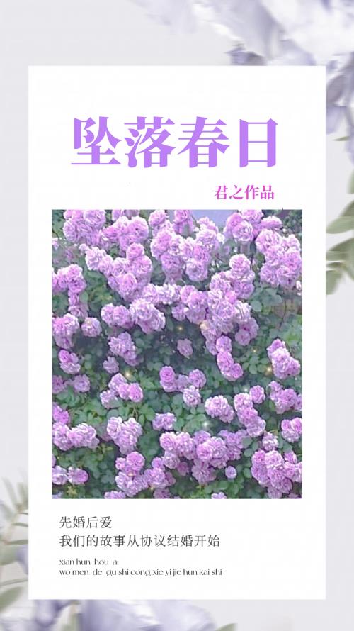 ŴзҪҽ