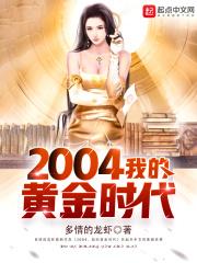 2004ҵĻƽʱ
